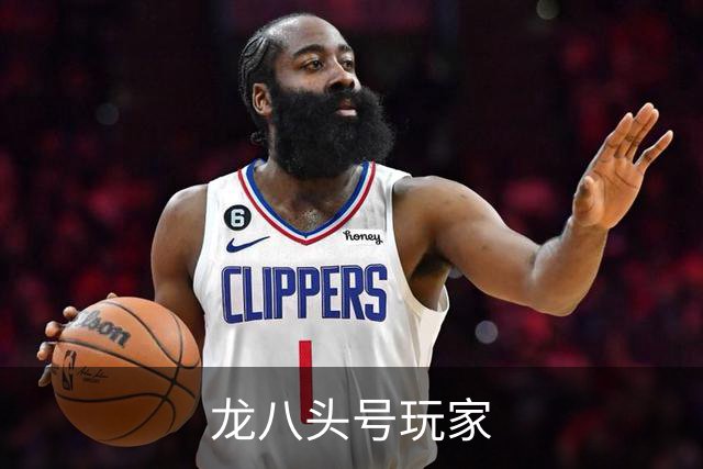 龙八头号玩家公司介绍